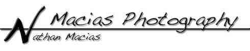 Website Header